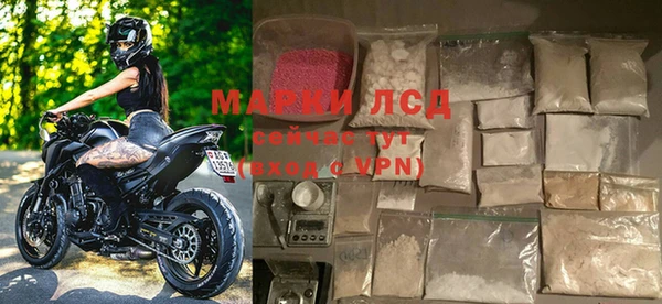 ALPHA PVP Беломорск