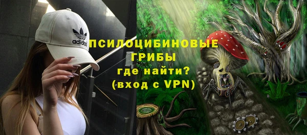 стафф Белокуриха