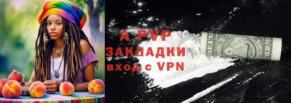 стафф Белокуриха