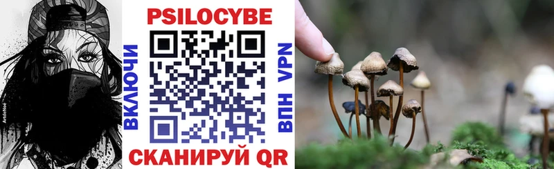сколько стоит  ссылка на мегу рабочий сайт  Псилоцибиновые грибы Magic Shrooms  Гудермес 
